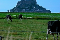 Le Mont Saint-Michel4