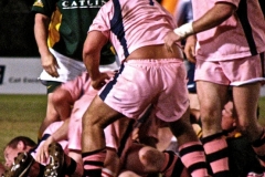 Bermuda Rugby 1